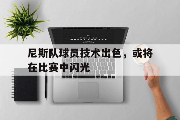 尼斯队球员技术出色，或将在比赛中闪光的简单介绍