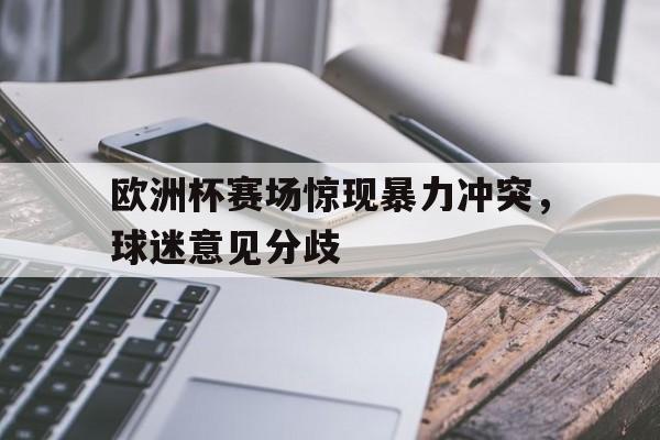 包含欧洲杯赛场惊现暴力冲突，球迷意见分歧的词条